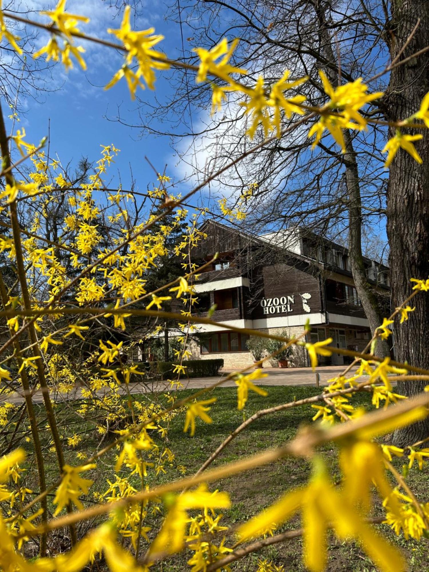 Ozoon Hotel Nyíregyháza Esterno foto